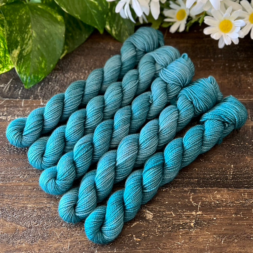 "Homestead" Mini Sock Hand-dyed Yarn