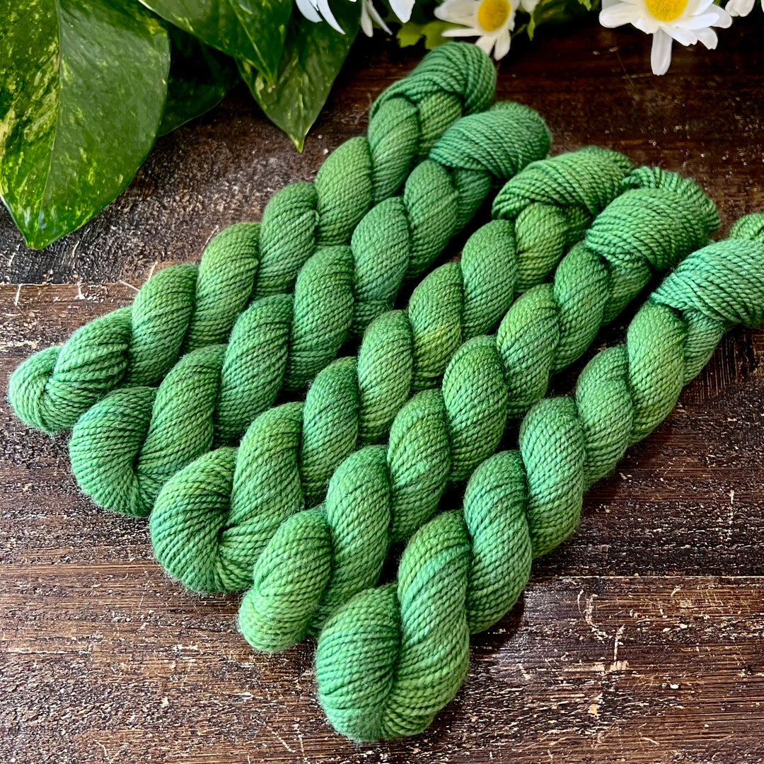 "Frazer's Ridge" Mini Sock Hand-dyed Yarn