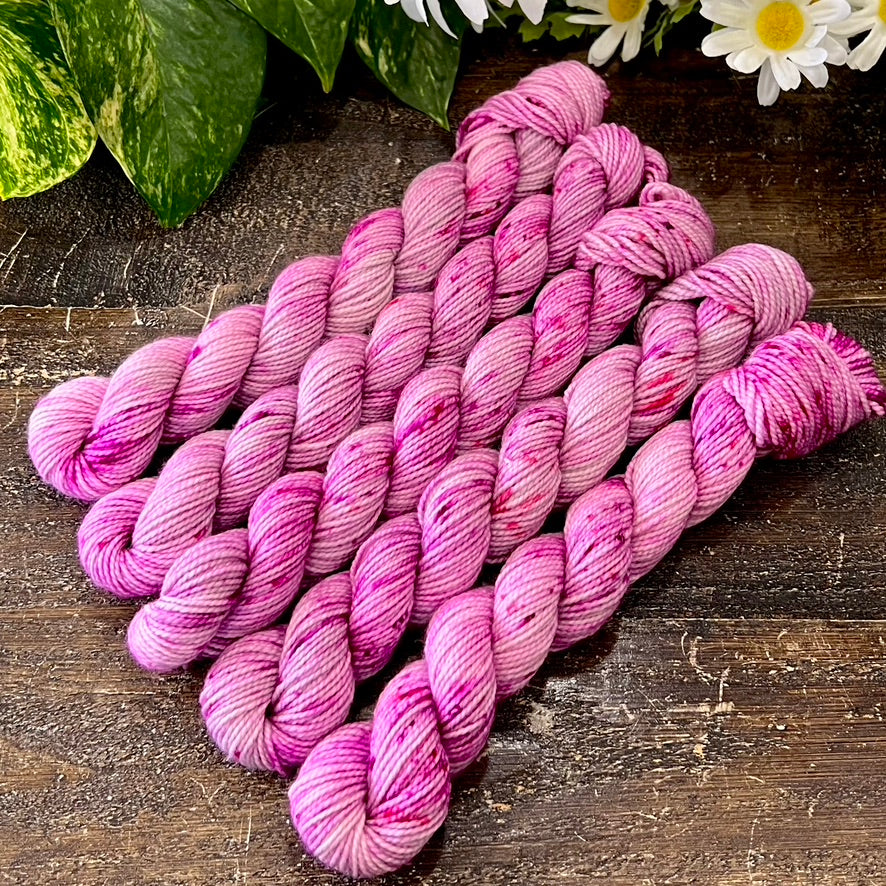 "Promises" Mini Sock Hand-dyed Yarn