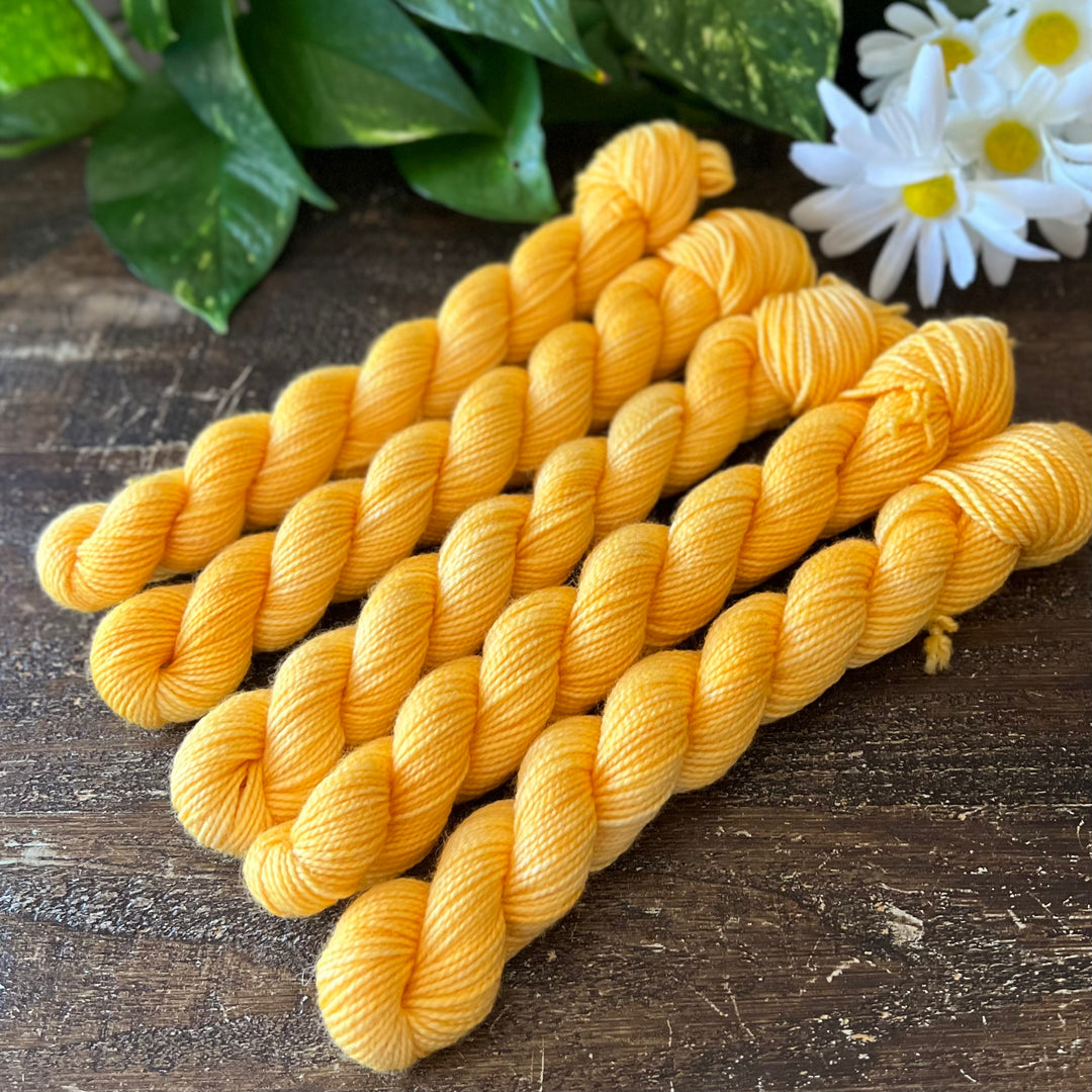"Goldilocks" Mini Sock Hand-dyed Yarn