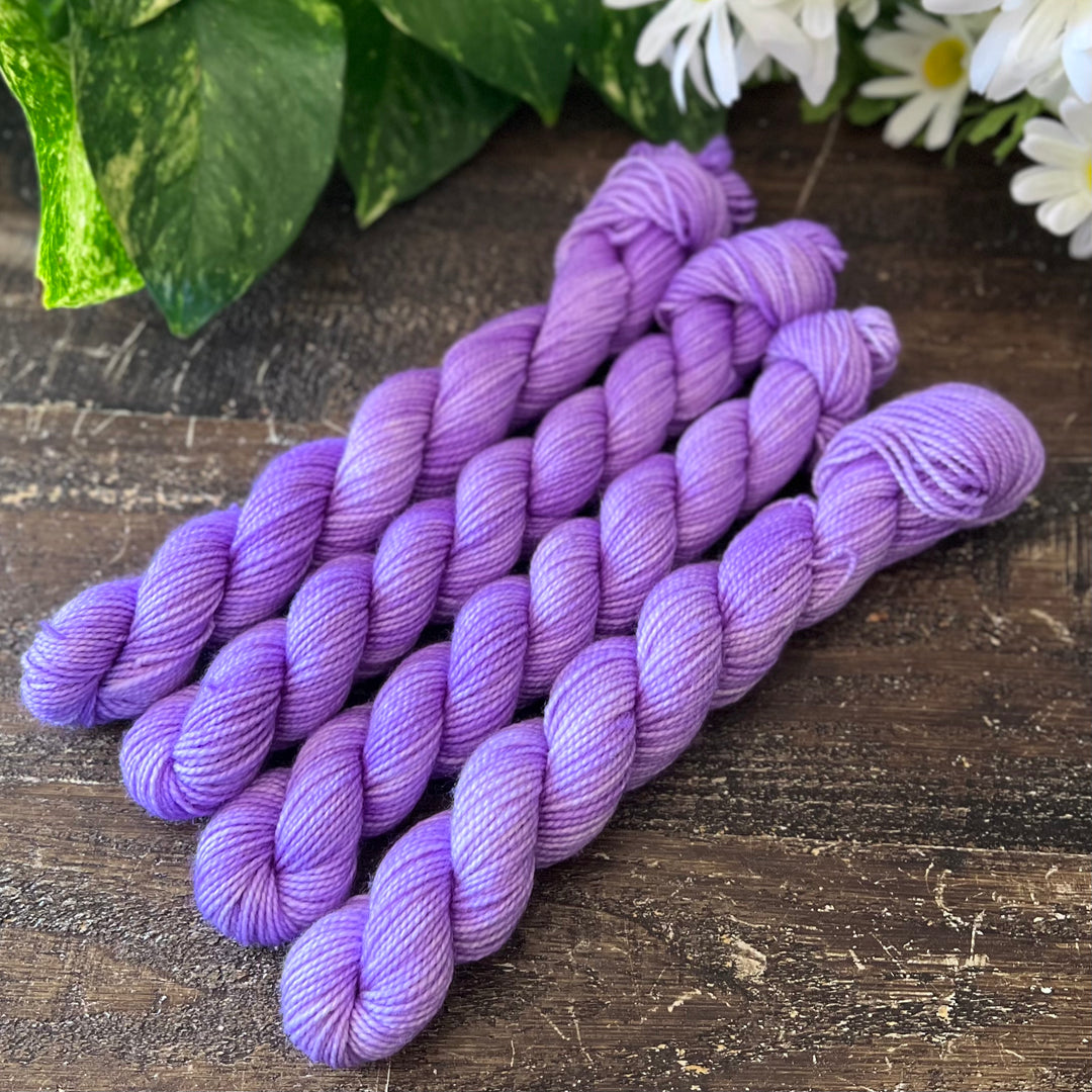 "Rizzo" Mini Sock Hand-dyed Yarn
