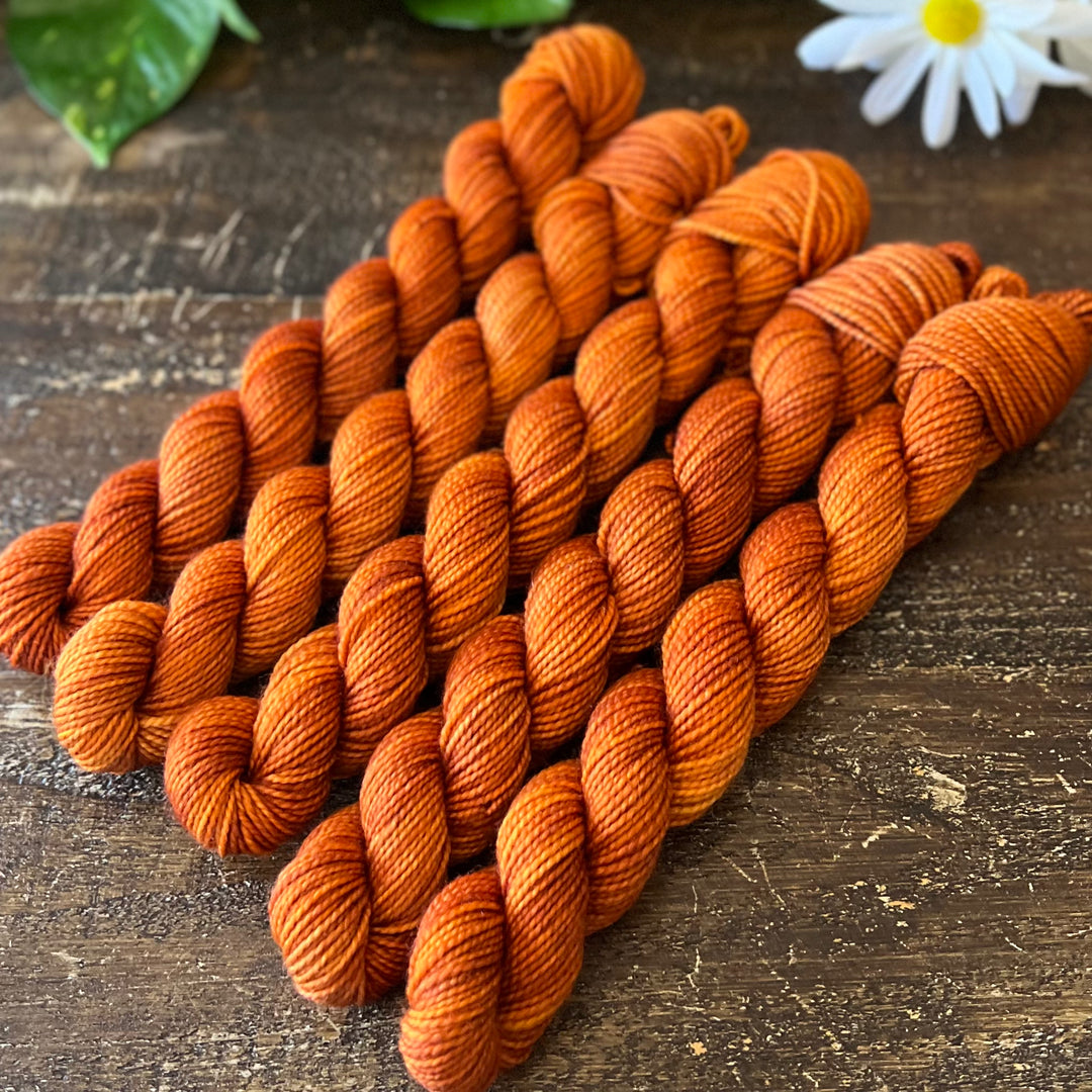 "Pumpkin Spice" Mini Sock Hand-dyed Yarn