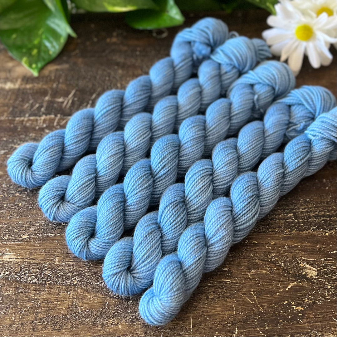 "Traveling Soldier" Mini Sock Hand-dyed Yarn