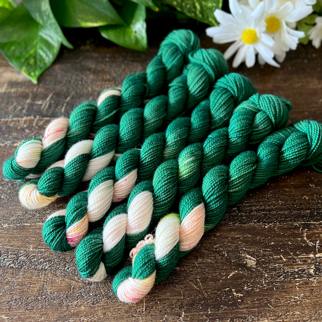 "Magnolia" Mini Sock Hand-dyed Yarn - Assigned Pooling