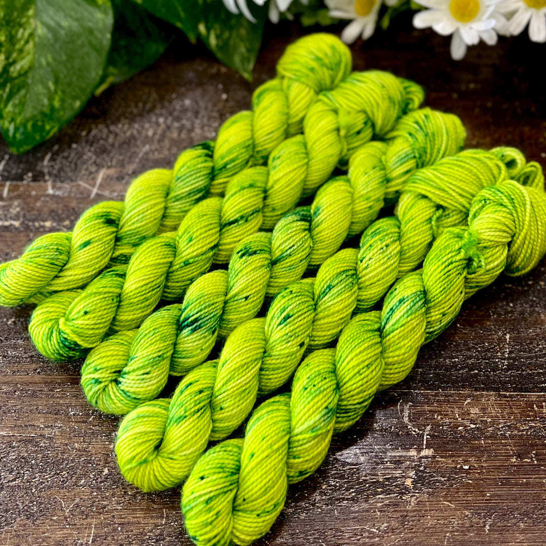 "Rain Forest" Mini Sock Hand-dyed Yarn