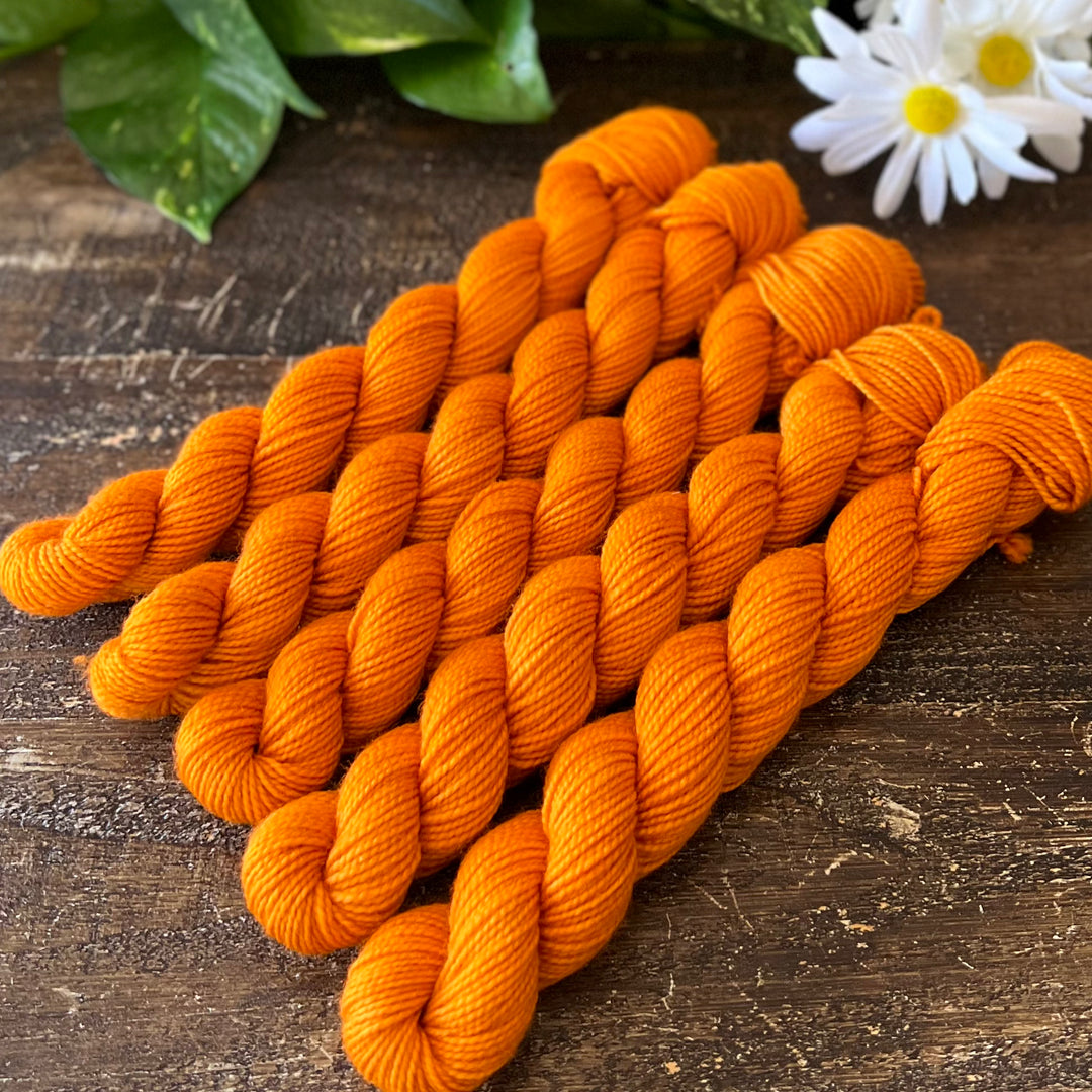 "Persimmon" Mini Sock Hand-dyed Yarn