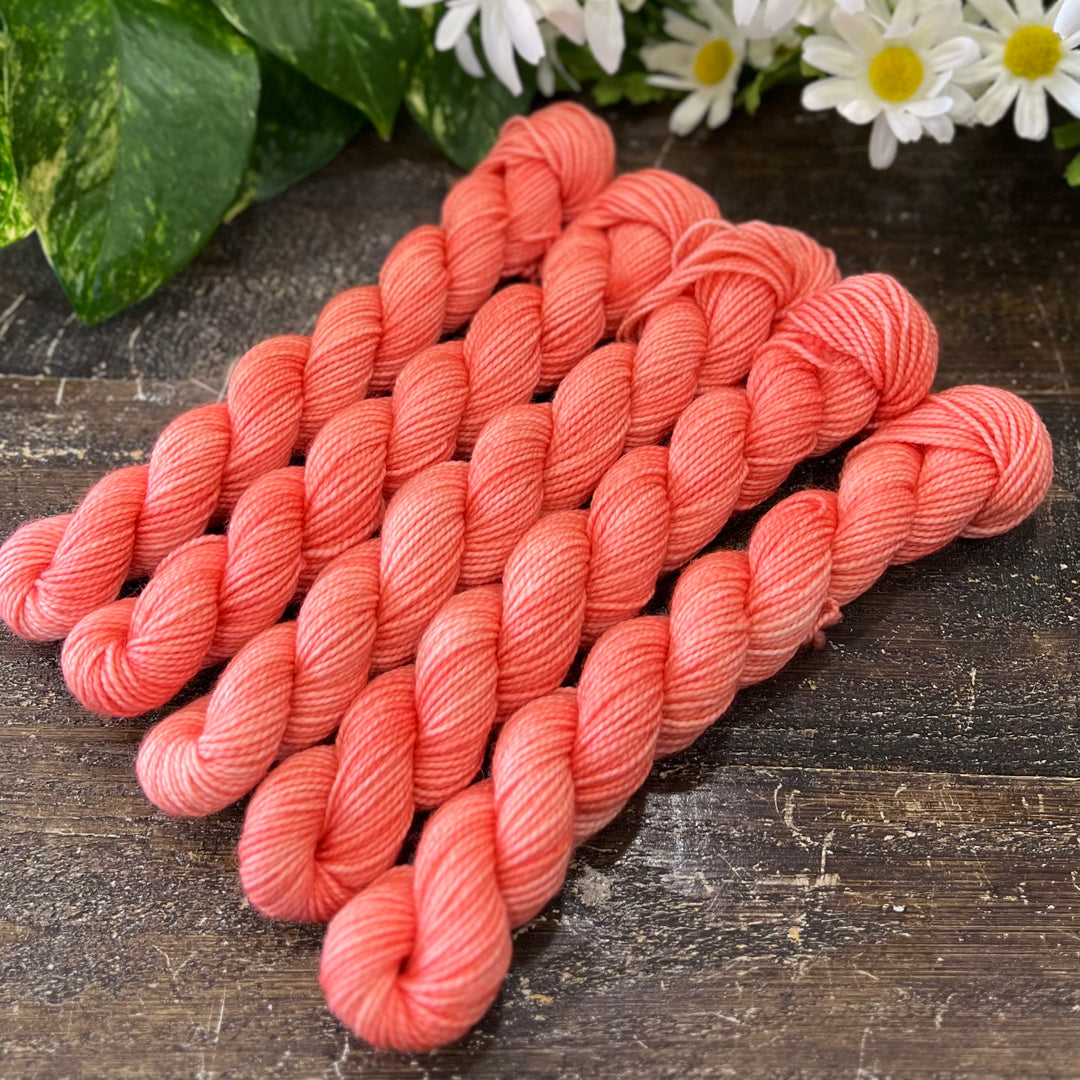 "Coral Reef" Mini Sock Hand-dyed Yarn