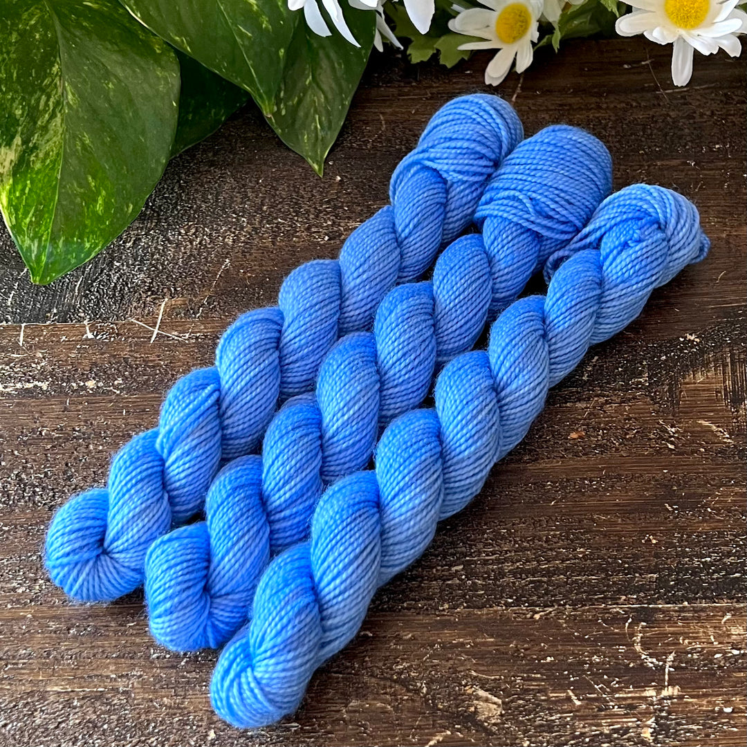 "Rocky Mountain Skies" Mini Sock Hand-dyed Yarn