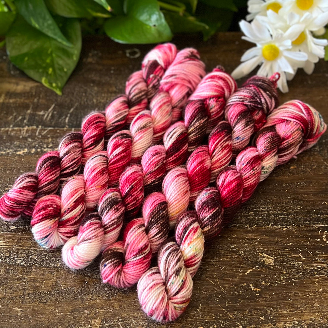 "Chocolate Cherries" Mini Sock Hand-dyed Yarn