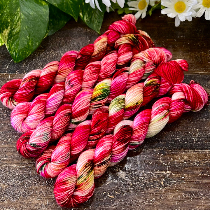 "Blossom" Mini Sock Hand-dyed Yarn