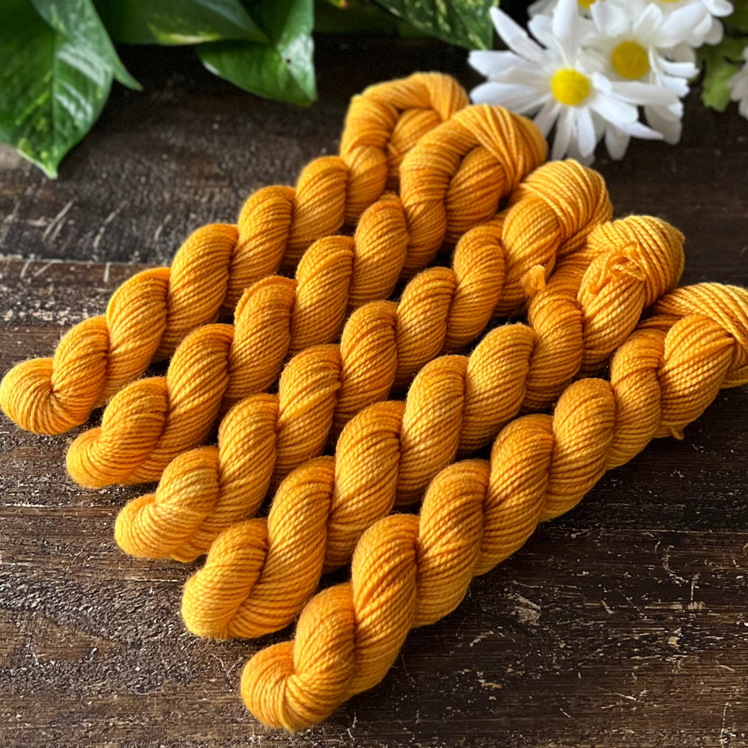 "Golden Dawn" Mini Sock Hand-dyed Yarn