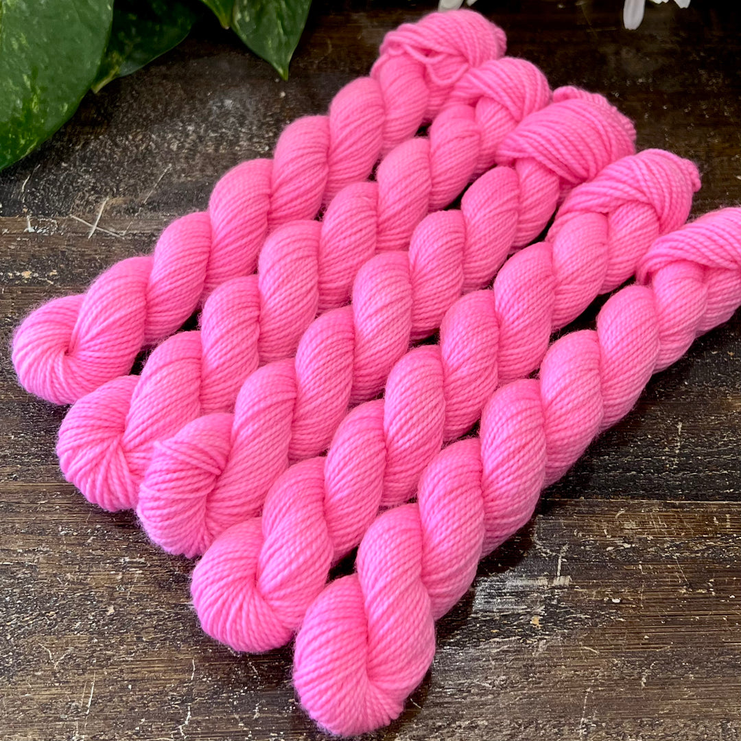 "Popular" Mini Sock Hand-dyed Yarn