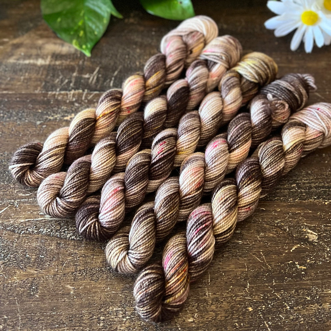 "Mountain Path" Mini Sock Hand-dyed Yarn