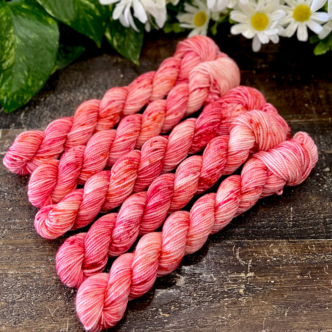 "Coral Garden" Mini Sock Hand-dyed Yarn