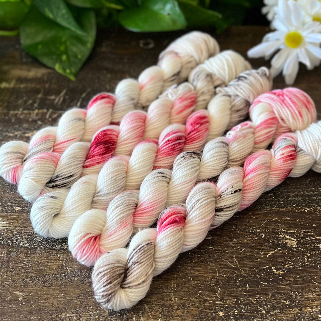 "Winter Cardinal" Mini Sock Hand-dyed Yarn