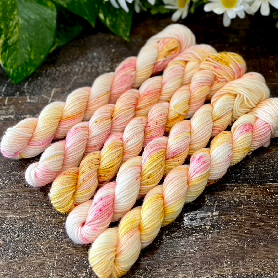 "Sunlit Path" Mini Sock Hand-dyed Yarn
