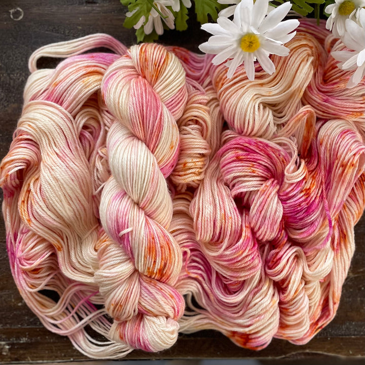 "Coral Garden" Hand-Dyed Alpaca Dreams Yarn