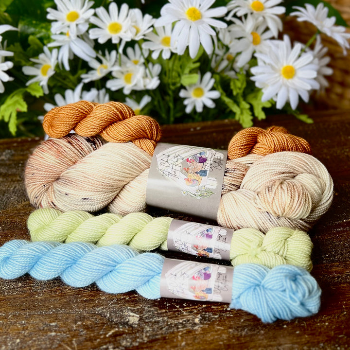 Club House Monthly Sock Set