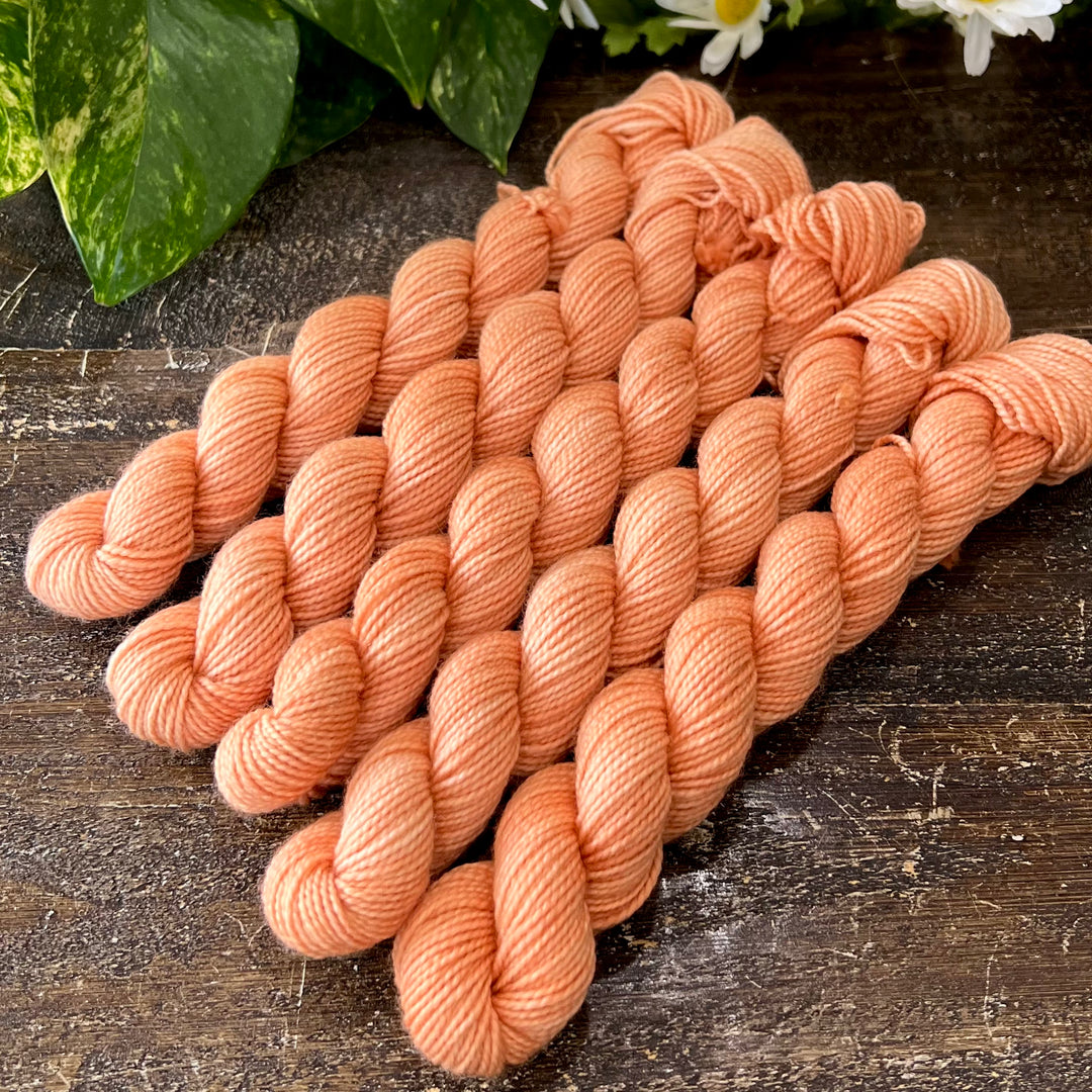 "Coppertone" Mini Sock Hand-dyed Yarn