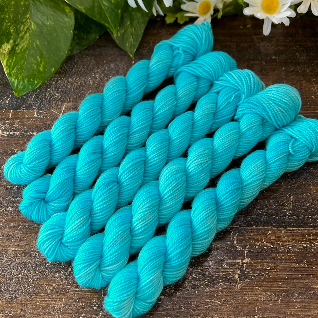 "Ocean Breeze" Mini Sock Hand-dyed Yarn