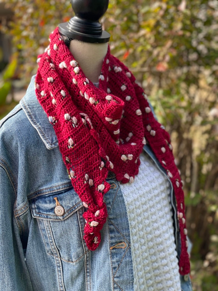 Winter Cardial Assigned Pooling Hand-dyed Yarn