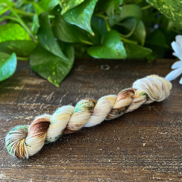"Sand Dune Bay" Mini Sock Hand-dyed Yarn