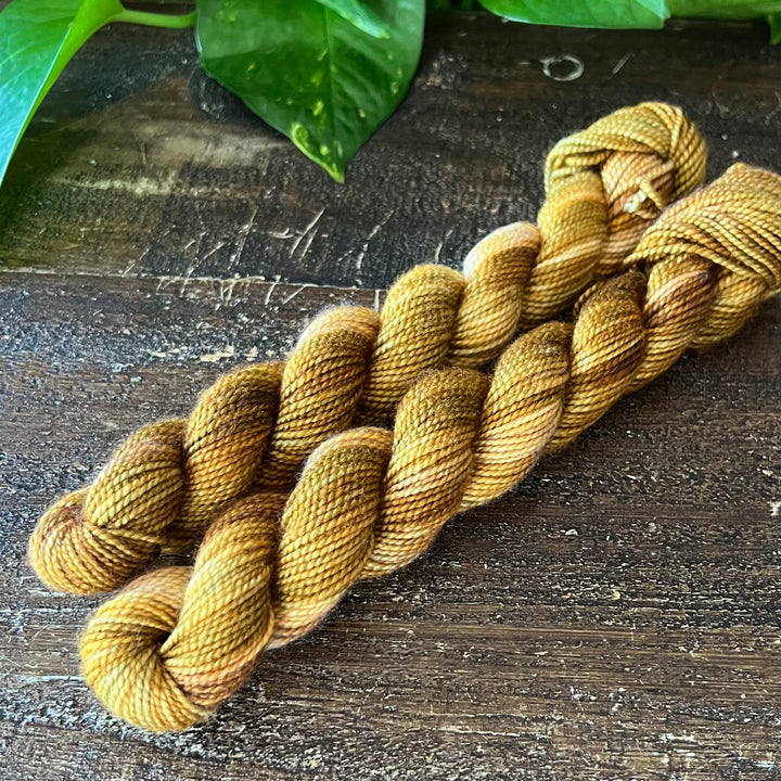 "Campside" Mini Sock Hand-dyed Yarn