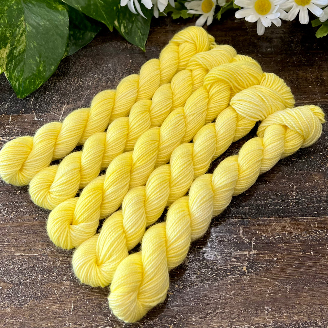"Lemon Tonic" Mini Sock Hand-dyed Yarn