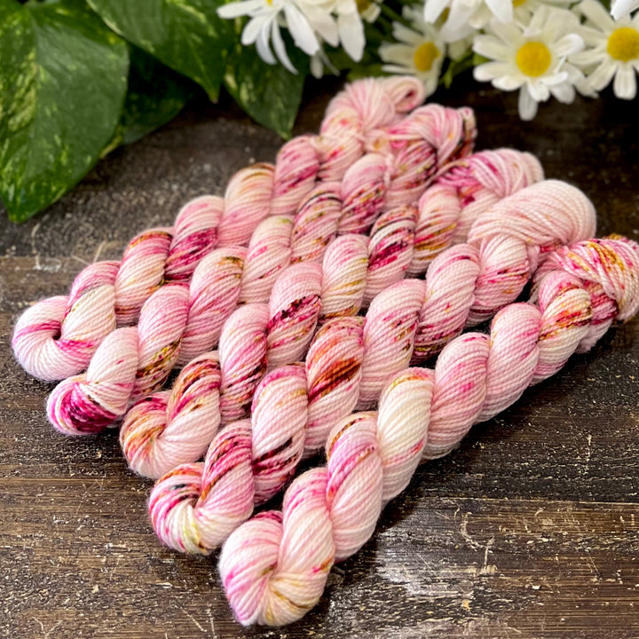 "Cherry Blossom" Mini Sock Hand-dyed Yarn