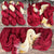 "Cardinal" Hand-dyed Yarn