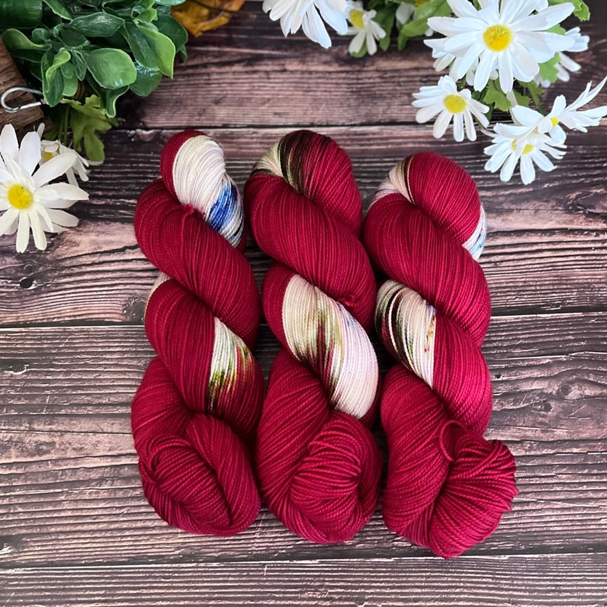 "Winter Cardinal" Hand-dyed Yarn