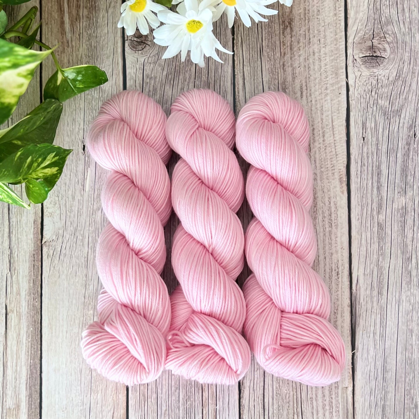 Carnation  DK Hand-dyed Yarn