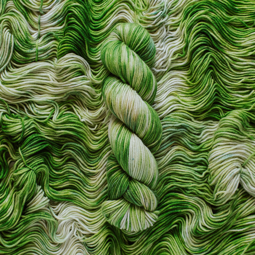 "Cabbage" Hand-Dyed Yarn – Harvest Collection