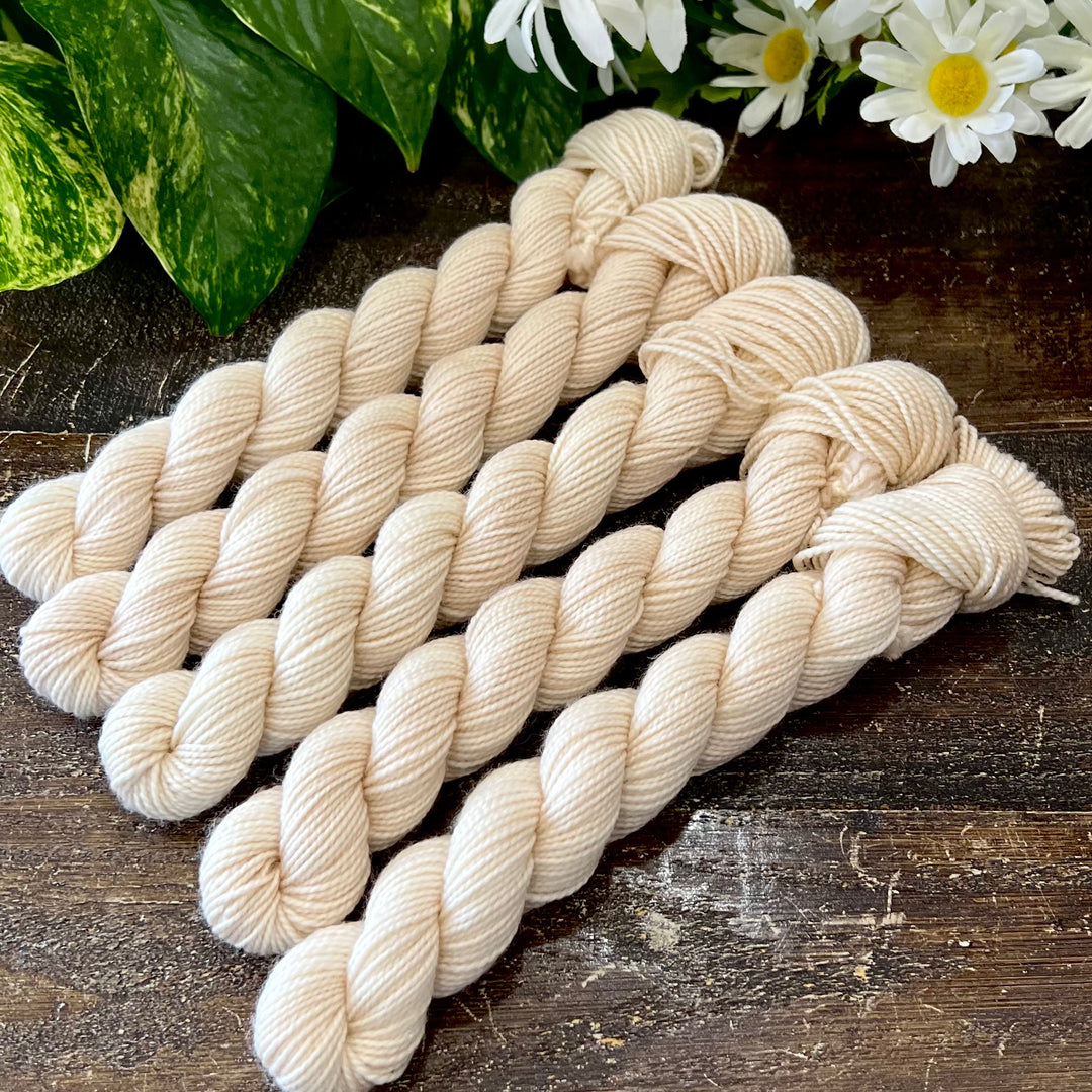 "Mushroom" Mini Sock Hand-dyed Yarn