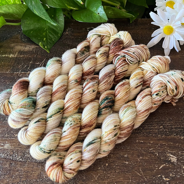 "Sand Dune Bay" Mini Sock Hand-dyed Yarn