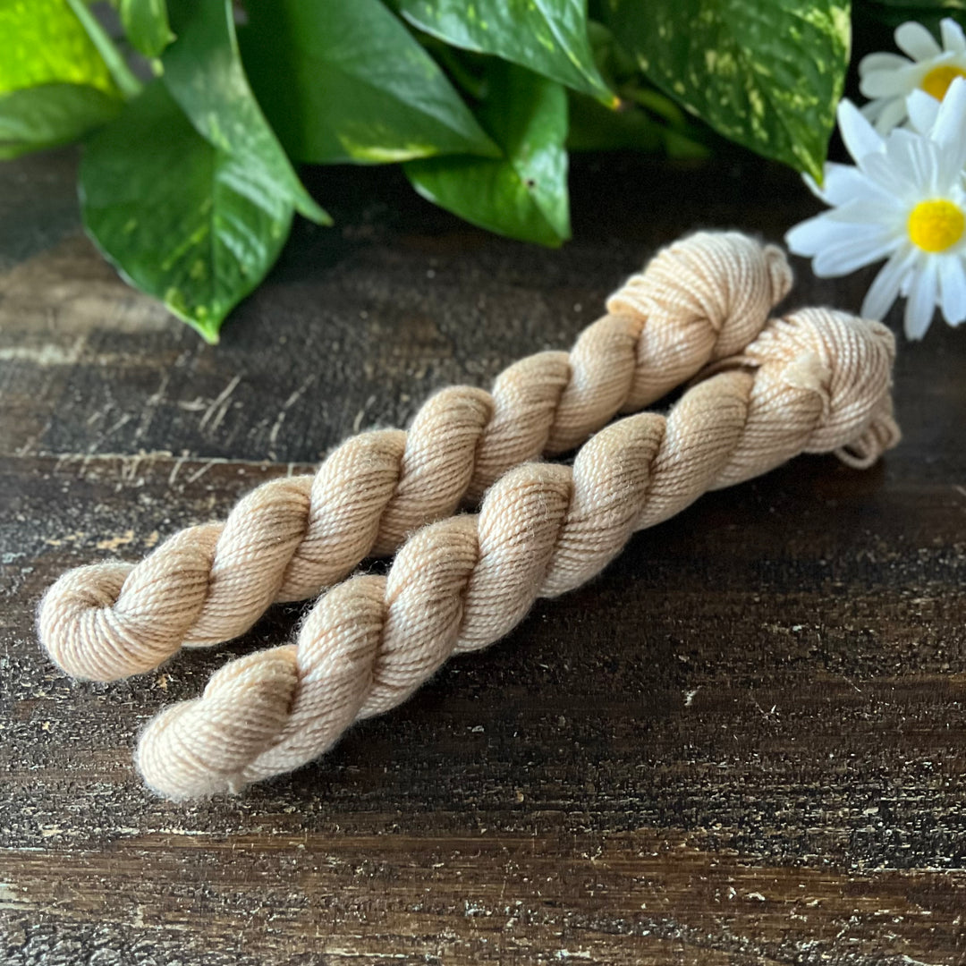 "Sands of Time" Mini Sock Hand-dyed Yarn