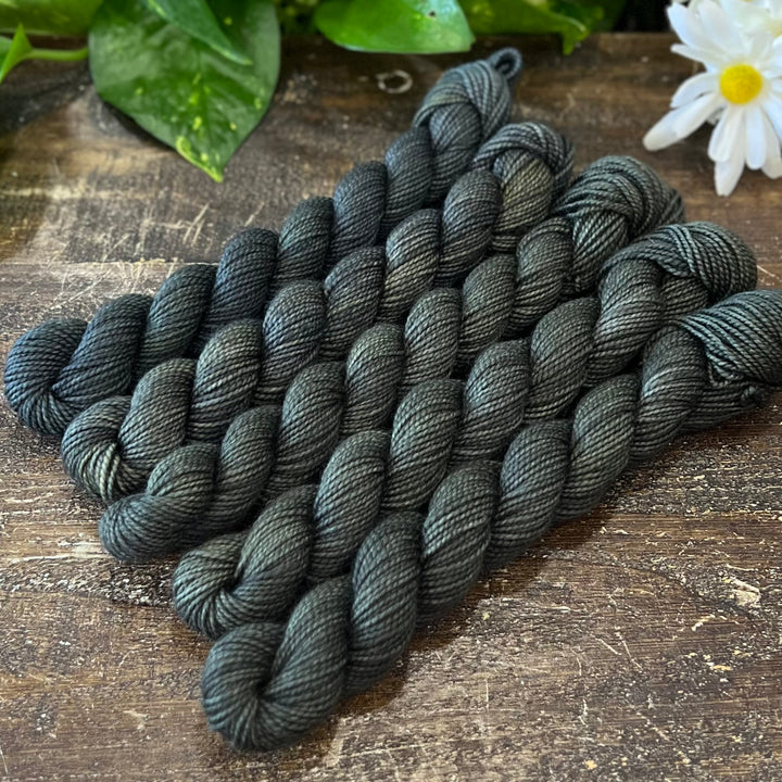 "Sealskin" Mini Sock Hand-dyed Yarn