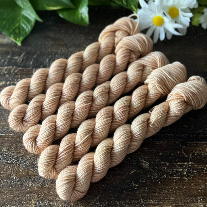 "Sands of Time" Mini Sock Hand-dyed Yarn