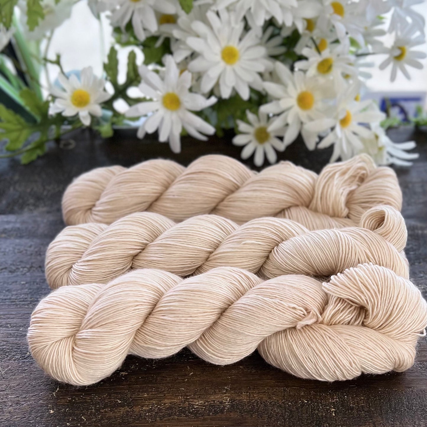 "Mushroom" Hand-dyed Yarn