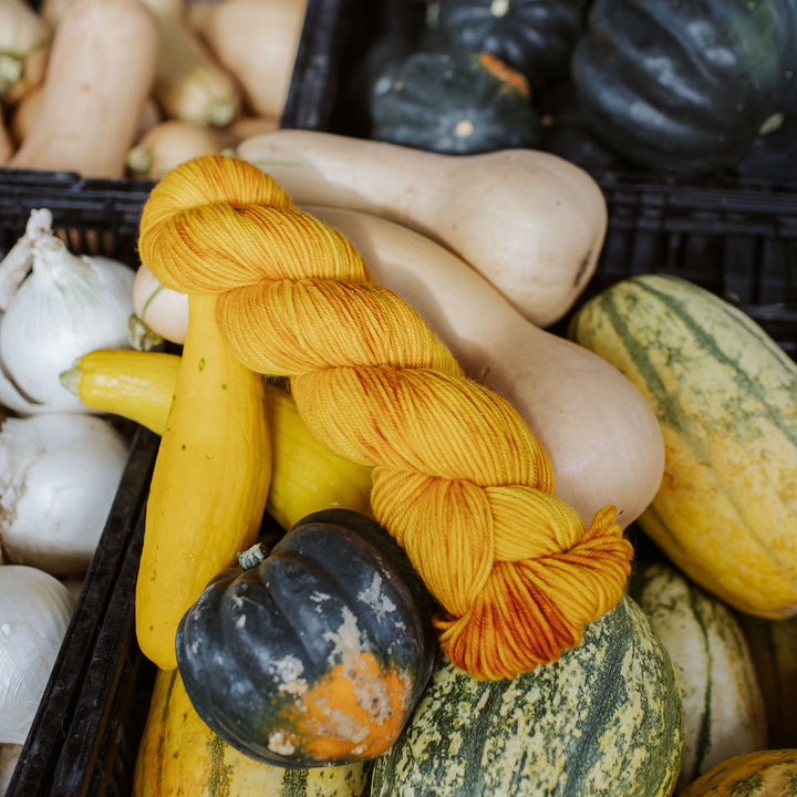 "Squash" Hand-Dyed Yarn – Harvest Collection