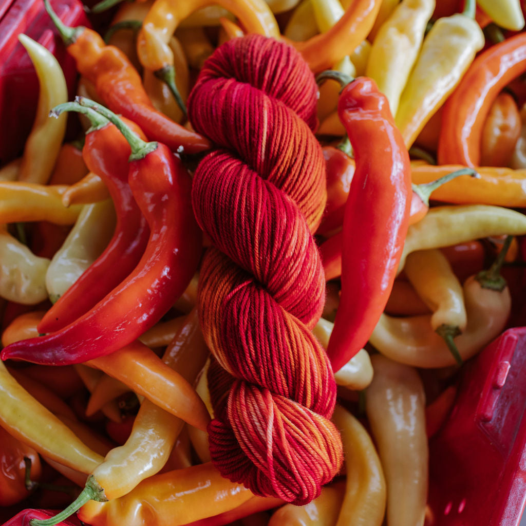 "Peppers" Hand-Dyed Yarn – Harvest Collection