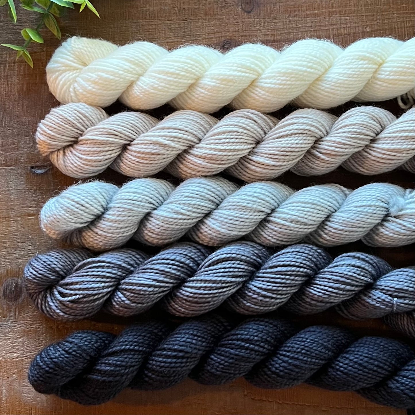 London Fog 5-Skein Mini Bundle Hand-dyed Yarn