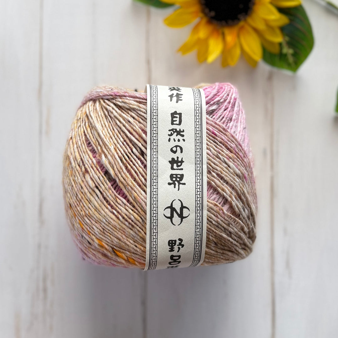 Noro Akari - Wakayama - 