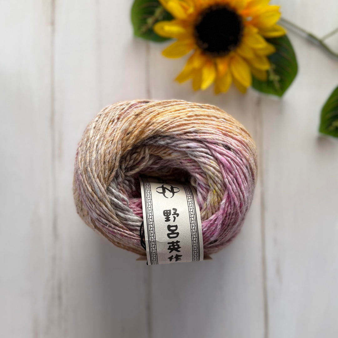 Noro Akari - Wakayama - 
