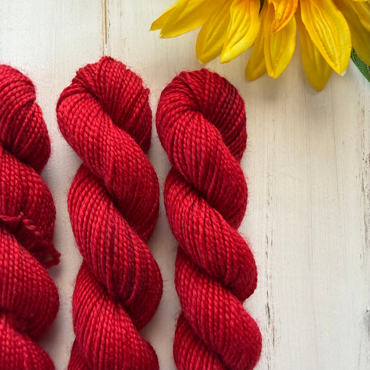 "Ruby" Mini Sock Hand-dyed Yarn