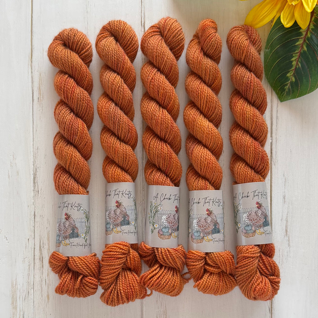 "Pumpkin Spice" Mini Sock Hand-dyed Yarn