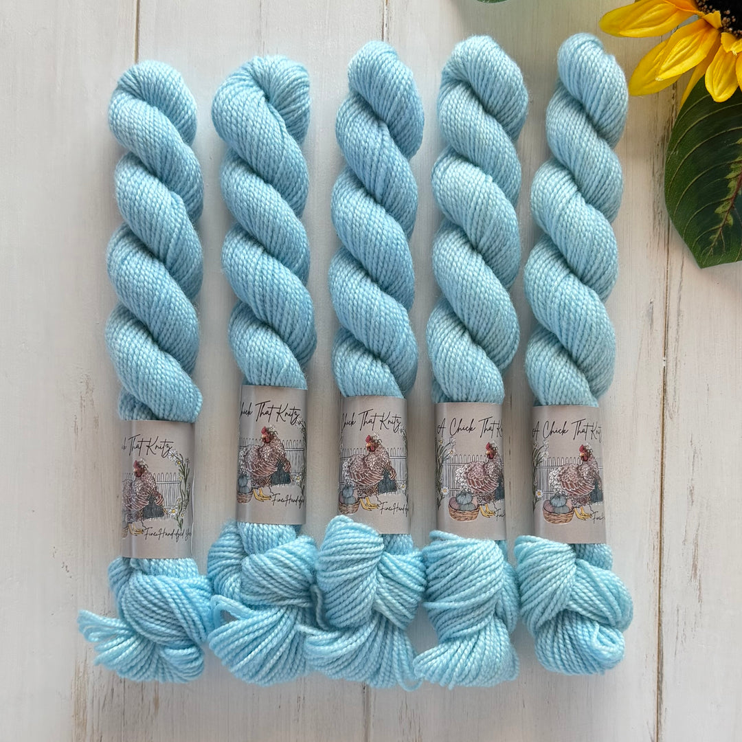 "Frozen" Mini Deluxe Sock Hand-dyed Yarn