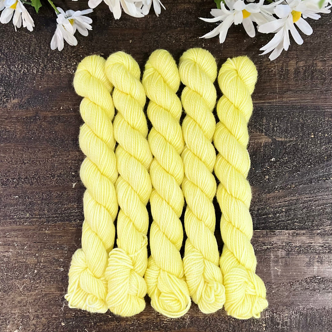 "Lemonade" Mini Sock Hand-dyed Yarn