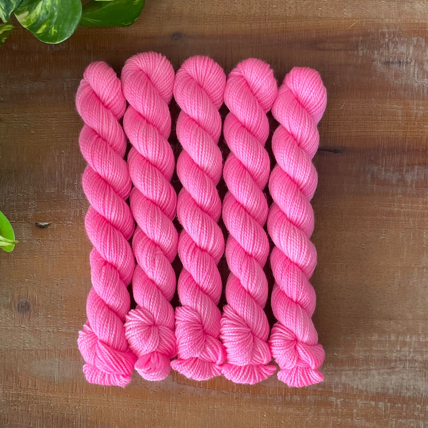 "Bubble Gum" Mini Sock Hand-dyed Yarn