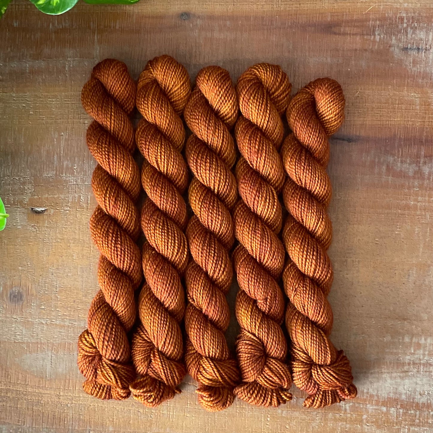 "Caramel" Mini Sock Hand-dyed Yarn